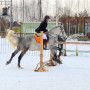 Индивидуальное занятие по верховой езде в Москве