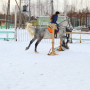 Индивидуальное занятие по верховой езде в Москве
