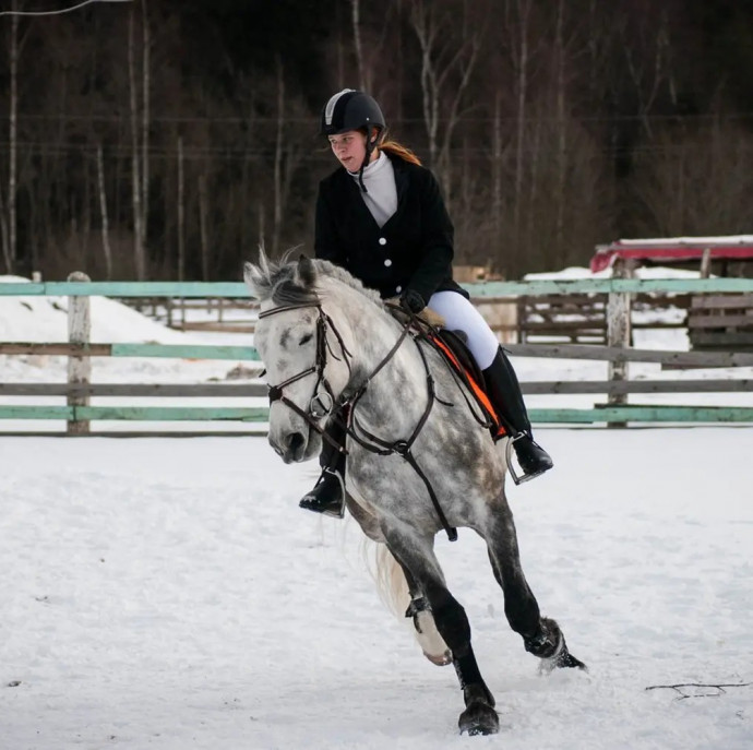 Индивидуальное занятие по верховой езде в Москве