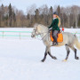 Индивидуальное занятие по верховой езде в Москве