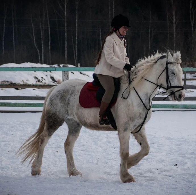 Индивидуальное занятие по верховой езде в Москве
