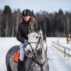 Индивидуальное занятие по верховой езде в Москве