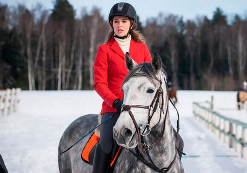 Индивидуальное занятие по верховой езде в Москве