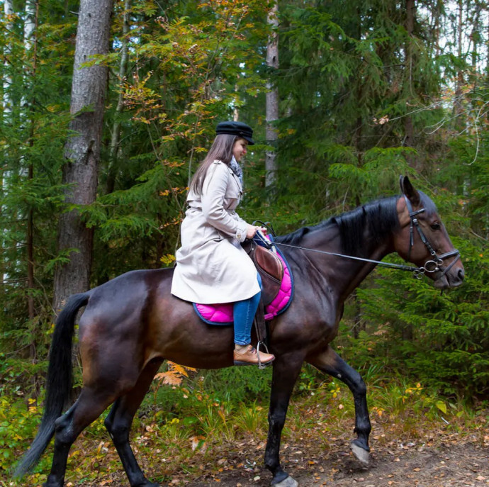 Занятие верховой ездой в Москве