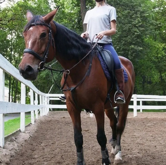 Занятие верховой ездой в Москве