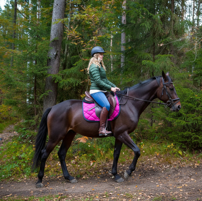 Занятие верховой ездой в Москве