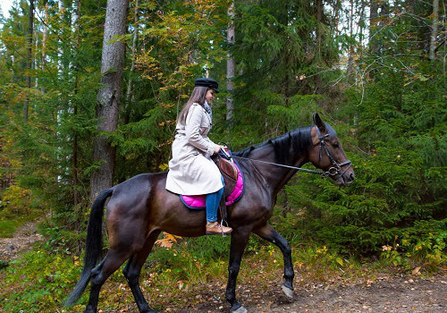 Занятие верховой ездой в Москве
