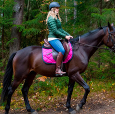 Занятие верховой ездой в Москве