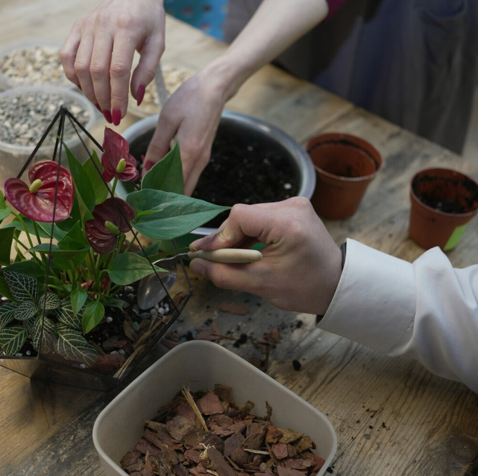 Мастер-класс Флорариум в Москве