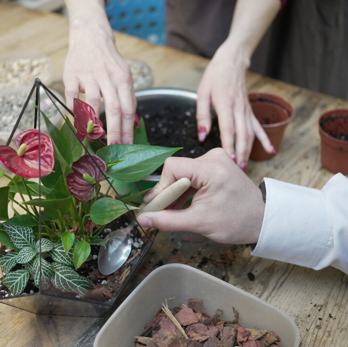 Мастер-класс Флорариум в Москве