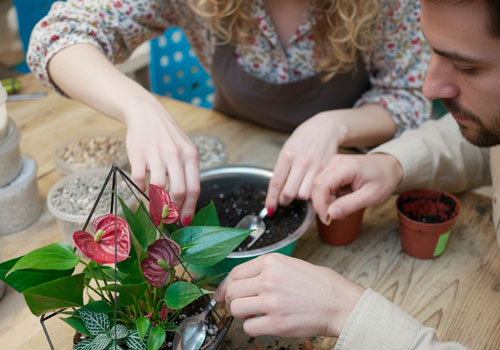 Мастер-класс Флорариум в Москве