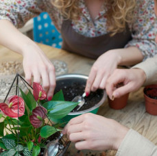 Мастер-класс Флорариум в Москве