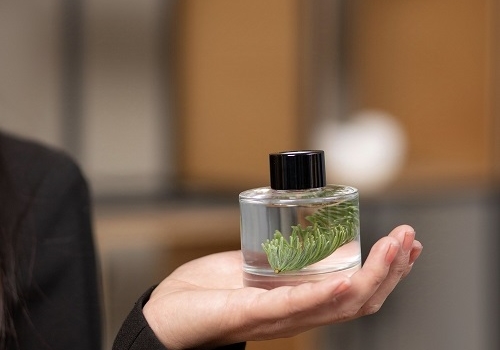 Мастер-класс Аромадиффузор в Москве