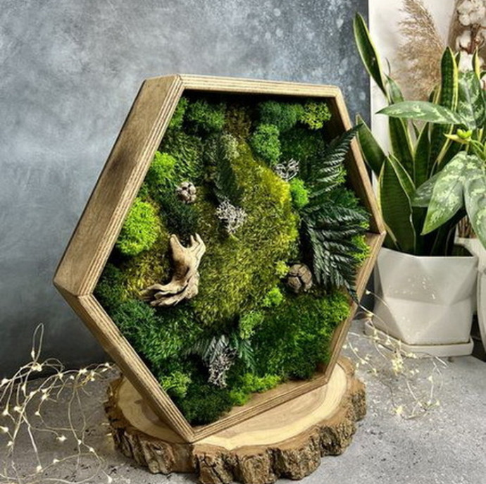 Мастер-класс по изготовлению Панно со мхом в Москве