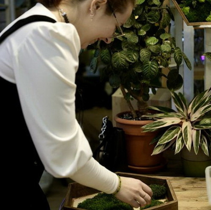 Мастер-класс по изготовлению Панно со мхом в Москве