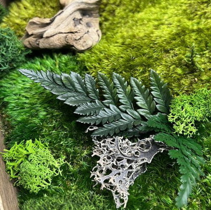 Мастер-класс по изготовлению Панно со мхом в Москве