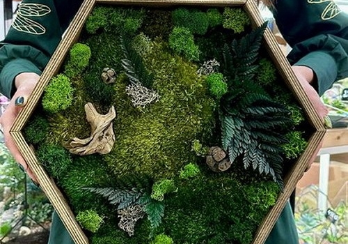 Мастер-класс по изготовлению Панно со мхом в Москве