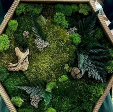 Мастер-класс по изготовлению Панно со мхом в Москве