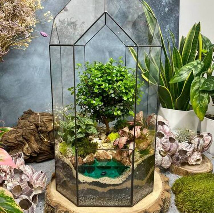 Мастер-класс Бонсариум в Москве