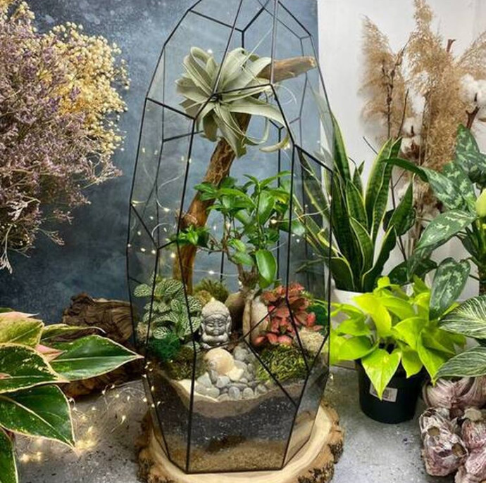 Мастер-класс Бонсариум в Москве