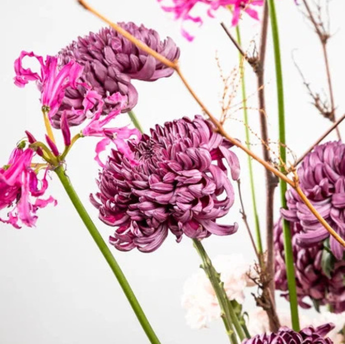 Курс Флористика для начинающих в Москве