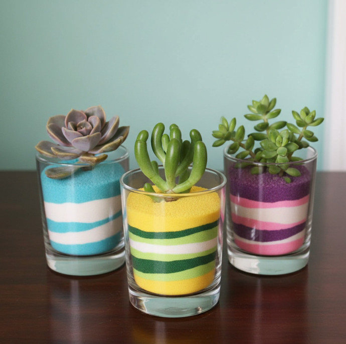 Мастер-класс флорариум Живая радуга в Москве