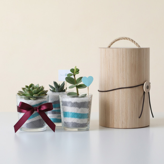 Мастер-класс флорариум Живая радуга в Москве