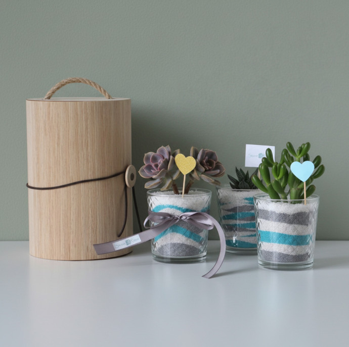 Мастер-класс флорариум Живая радуга в Москве