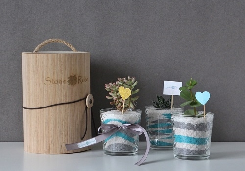 Мастер-класс флорариум Живая радуга в Москве