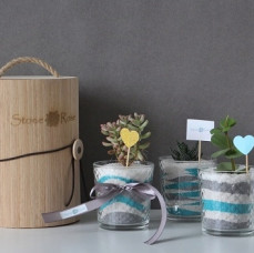 Мастер-класс флорариум Живая радуга в Москве