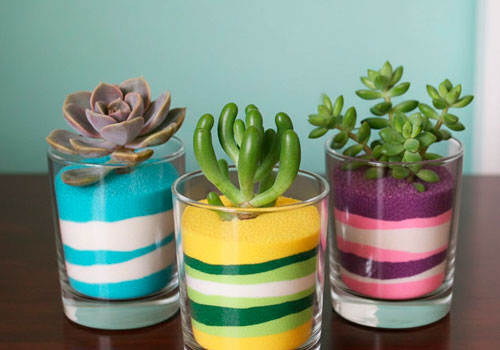 Мастер-класс флорариум Живая радуга в Москве