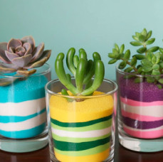 Мастер-класс флорариум Живая радуга в Москве