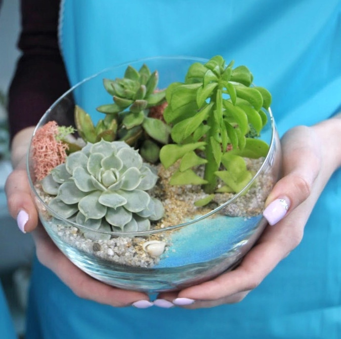 Мастер-класс по созданию мини-сада с суккулентами в Москве