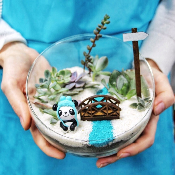 Мастер-класс по созданию мини-сада с суккулентами в Москве