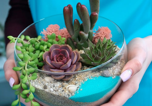 Мастер-класс по созданию мини-сада с суккулентами в Москве