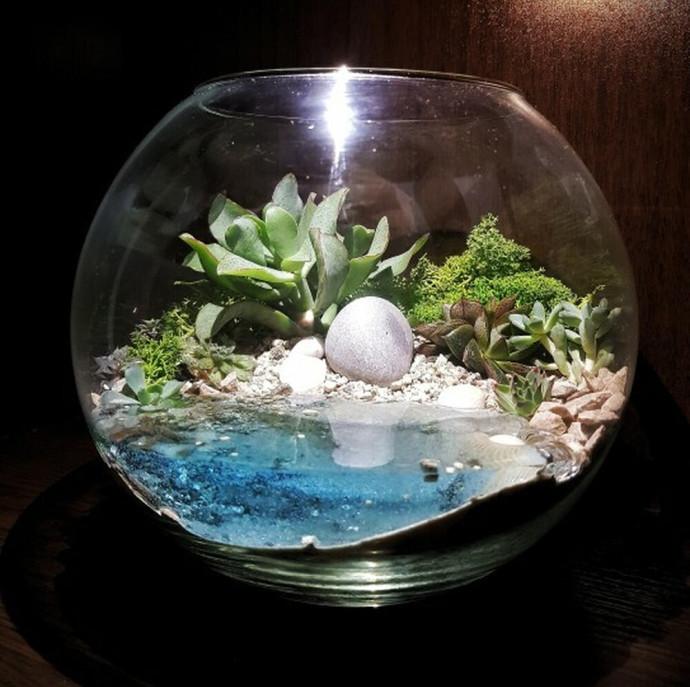 Мастер-класс создание флорариума в Москве