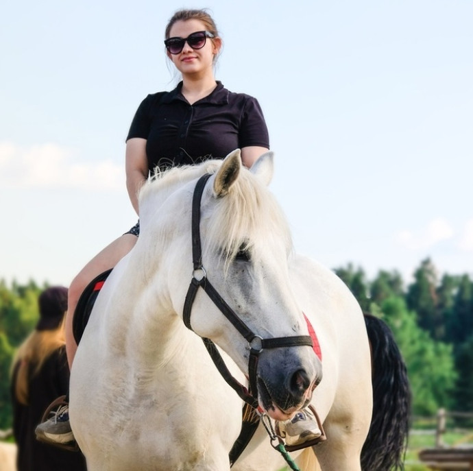 Мастер-класс Подготовка лошади в Москве