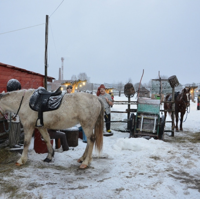 Мастер-класс Подготовка лошади в Москве