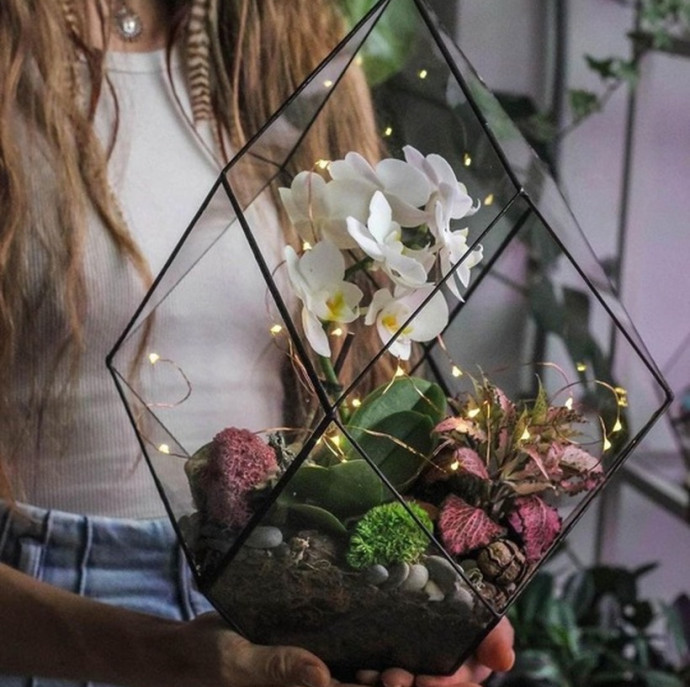 Мастер-класс Орхидариум в Москве