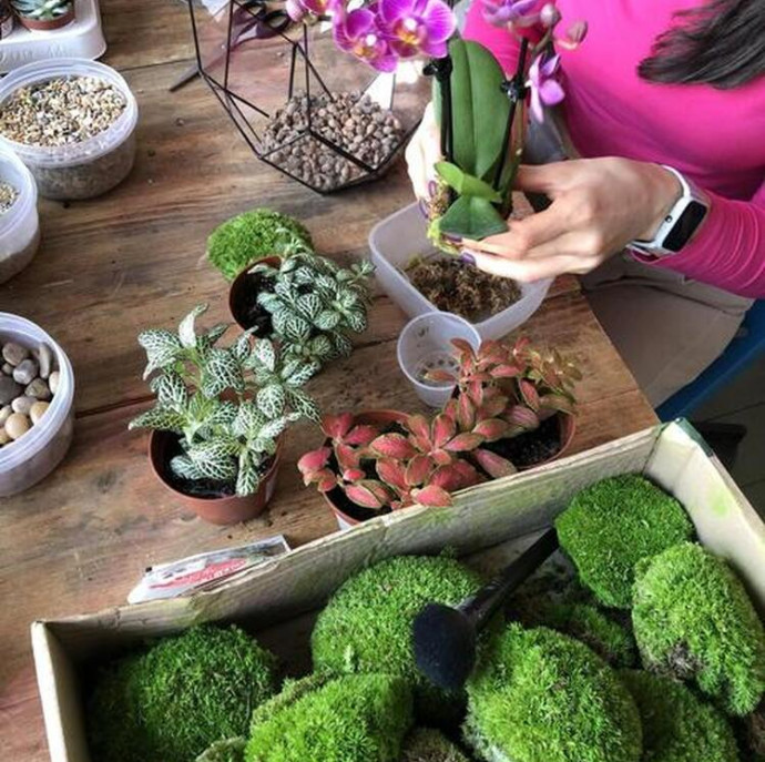 Мастер-класс Орхидариум в Москве