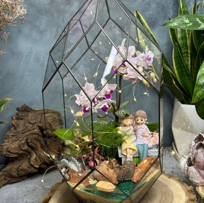 Мастер-класс Орхидариум в Москве