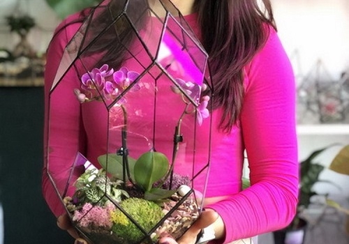 Мастер-класс Орхидариум в Москве