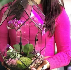 Мастер-класс Орхидариум в Москве