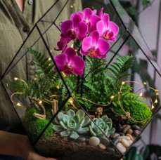 Мастер-класс Орхидариум в Москве