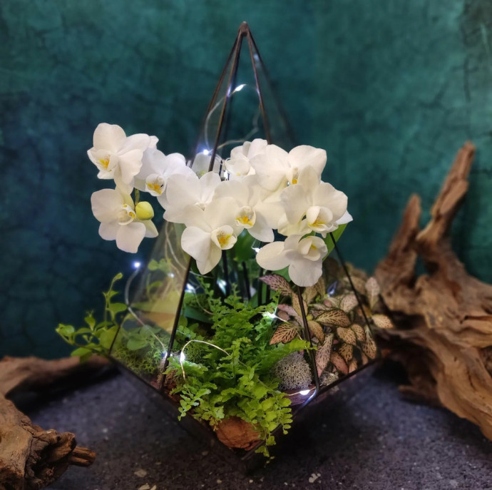 Мастер-класс Флорариум с орхидеей в Москве