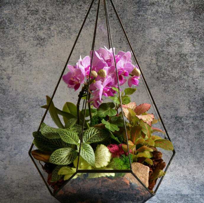 Мастер-класс Флорариум с орхидеей в Москве