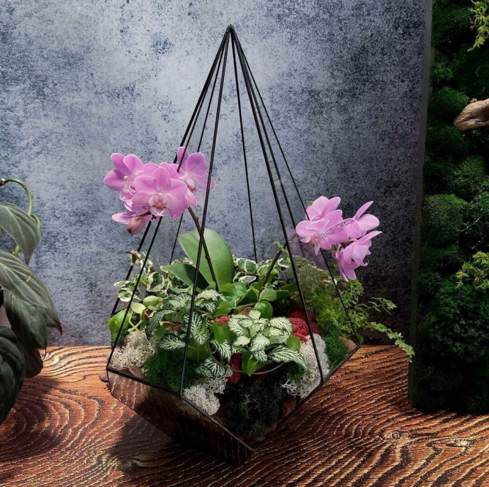 Мастер-класс Флорариум с орхидеей в Москве