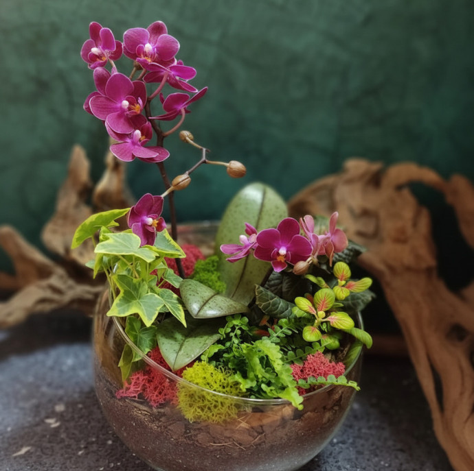 Мастер-класс Флорариум с орхидеей в Москве