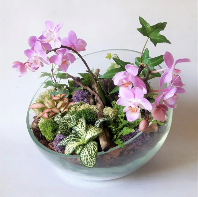 Мастер-класс Флорариум с орхидеей в Москве