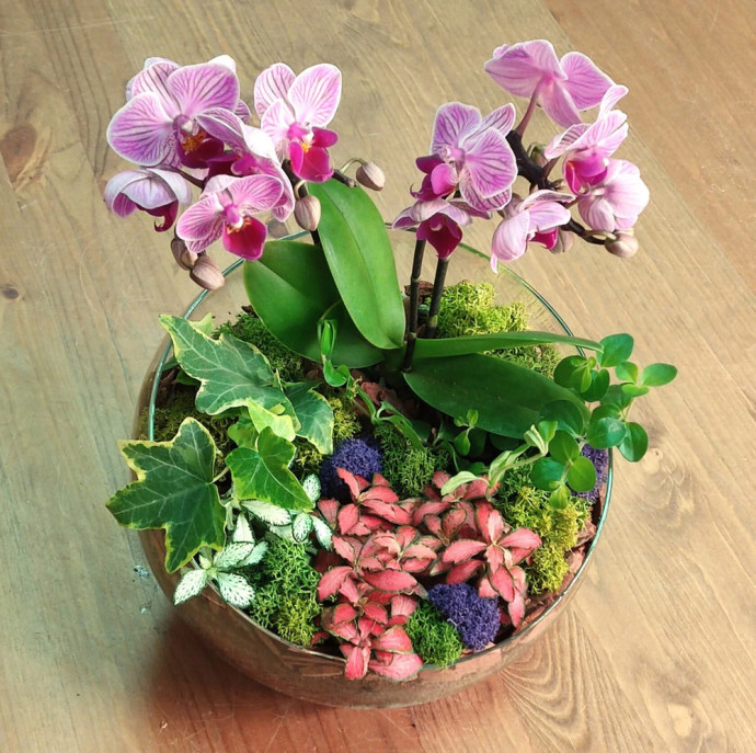 Мастер-класс Флорариум с орхидеей в Москве